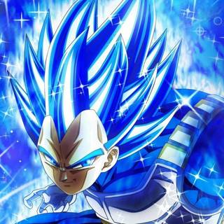 vegeta in super saiyan blue evolution 3