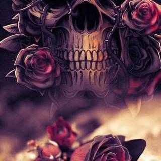 skull and roses