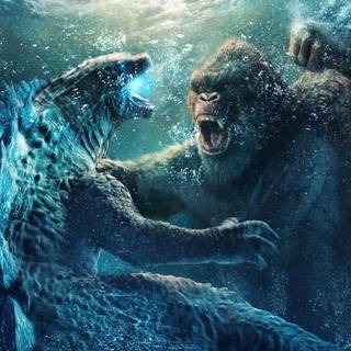 godzilla and king kong fighting