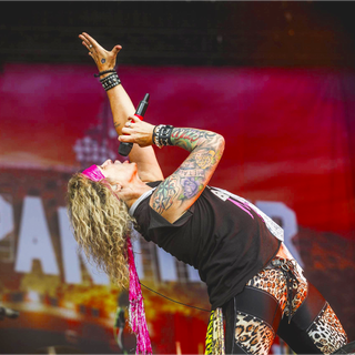 STEEL PANTHER WALLPAPER