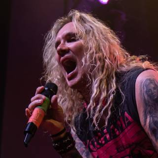 STEEL PANTHER WALLPAPER