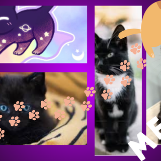 my bff made this 4 me