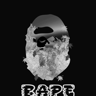 Bape 