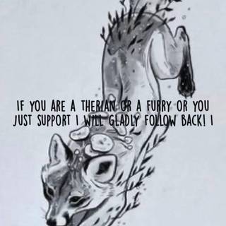 Im not a therian or furry, but I support