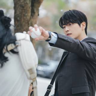 love scout wallpaper