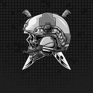 Warrior Skull