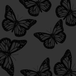 Black butterflies