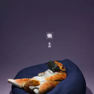 Cat with VR