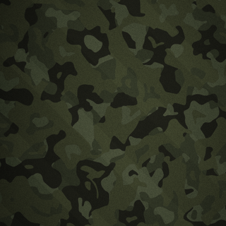 Camouflage 