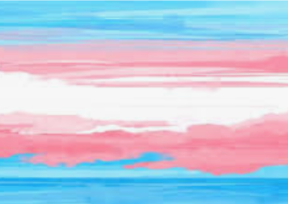 Trans Flag