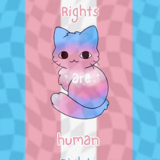 trans rights cat wallpaper