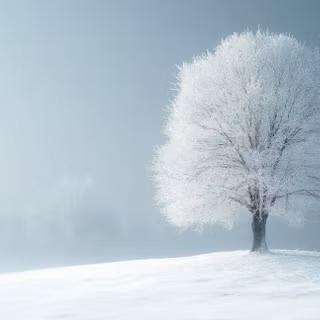 Silent Frost
