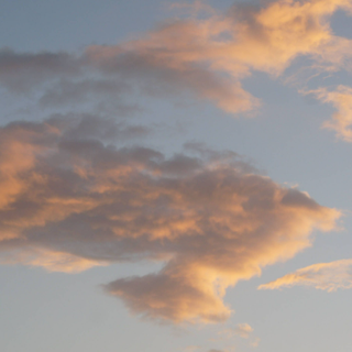 Picture dump from tday (Credit to Samara Rose)