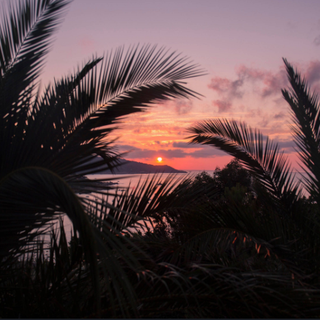 Picture dump from tday (Credits to: Samara Rose)