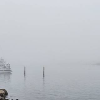 Fog in the Channel