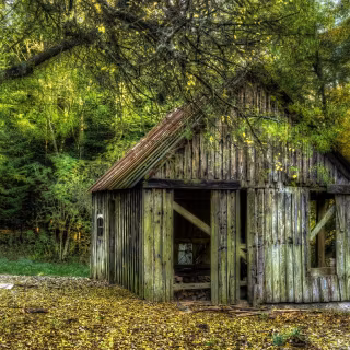 Rustic cabin