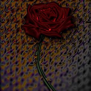 Samsung S25 Ultra Wallpaper Rose B