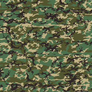 Camo