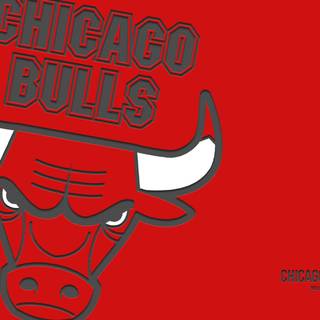 Chicago Bulls