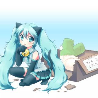cat miku with box