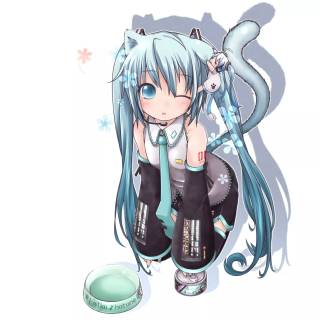 cat miku with food