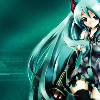 all about miku