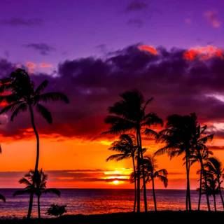 Hawaii sunset