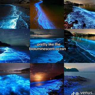 Picture dump from tday