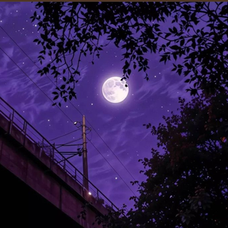 Picture dump from tday