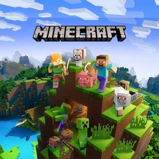 Minecraft Game On Xbox One Or PC Gamer Computer