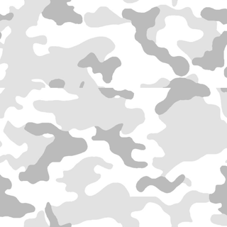 Snow Camo