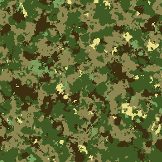Camo