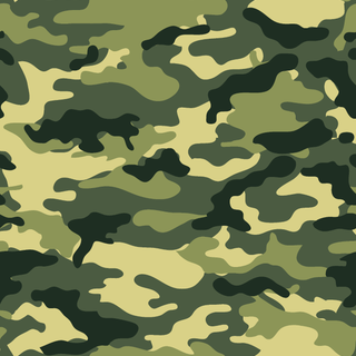 Camouflage Pattern 