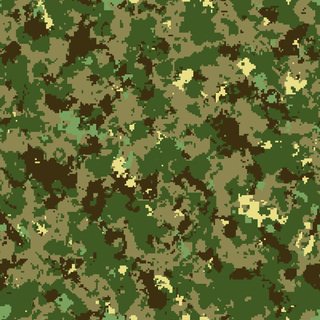 Camo