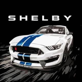 Shelby