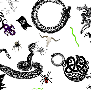 snakes skulls dragons and spiders
