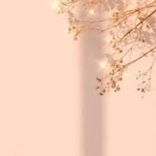 Pink Flower Background