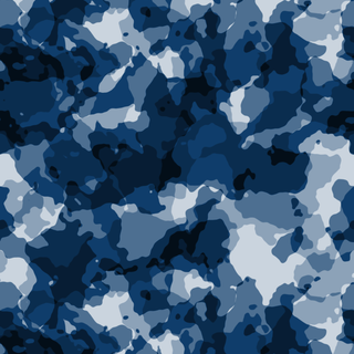 Blue Camo