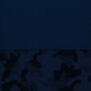 Blue Camo