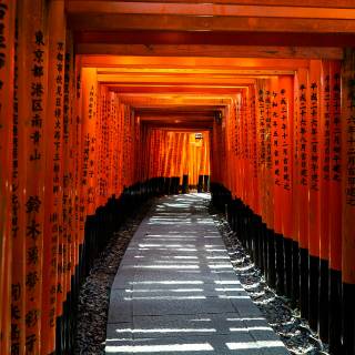 Fushimi Inari Taisha Torii Tunnel, Kyoto (Japan) by David Emrich