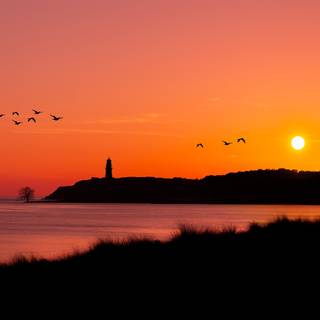 Orange Sunset Over the Ocean by marucha
