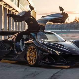 Apollo Intensa Emozione