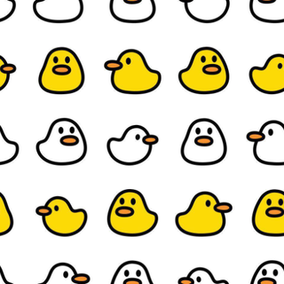 white and yellow ducks