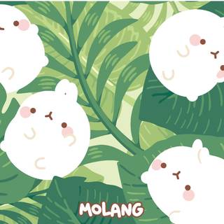 nice summer day with molang
