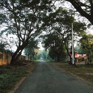 Road walking HD wallpaper 