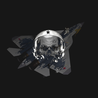 Pilot