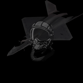 Pilot
