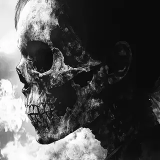 Dark Phantom