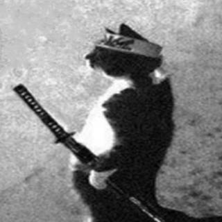 Ninja Cat
