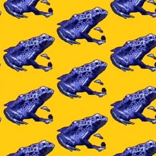 Frogs